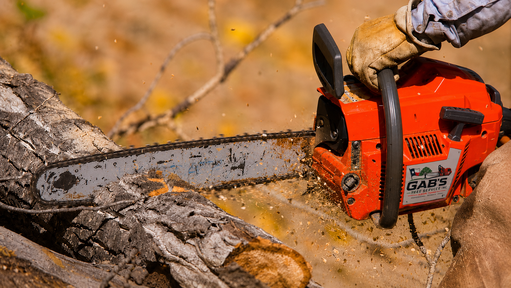 Gab's Tree Service — professional chainsaw work in East Texas